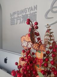 -苗方清颜专业祛痘