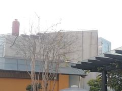 -浅深Cheersum(曹杨店)