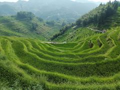 -紫鹊界梯田景区