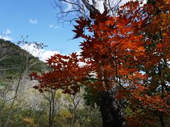 -玉渡山自然风景区