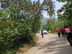 -樱桃山旅游景区