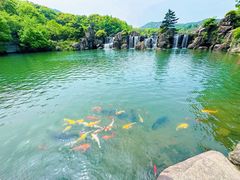 -白马涧龙池景区