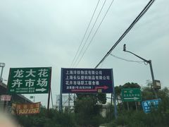 -龙大花卉苗木市场