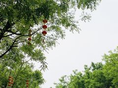 -吴裕泰茶庄(前门大街店)