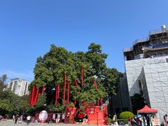 -广州中山纪念堂
