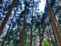 -雁荡山风景名胜区