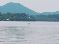 -西湖游船