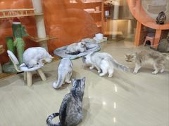 -光明广场