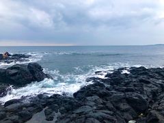 -涉地可支