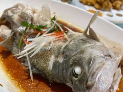 清蒸鲈鱼-金海湾海鲜总店