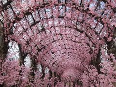 -西海岸生态观光园