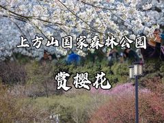 -金鸡湖桃花岛