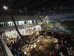 -自贡恐龙博物馆