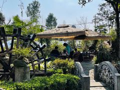 -青城甲(青城山店)