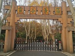 -灵谷景区