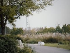 -石家庄市植物园