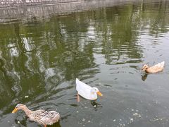 -迎泽公园