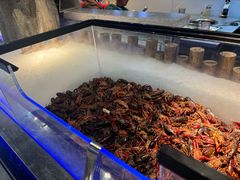 -圣罗巴海鲜烤肉自助(佳兆业店)