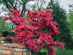 -广富林郊野公园