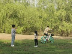 -长白岛森林公园