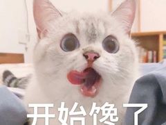 -书亦烧仙草(邵阳友阿国际广场店)