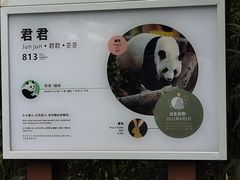 -易老大蛋烘糕(奎星楼总店)