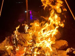 -盘龙城国家考古遗址公园