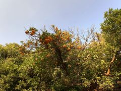 -缥缈峰景区