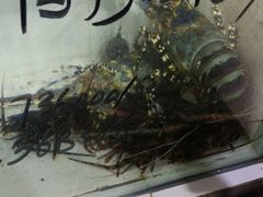 -海盗餐厅