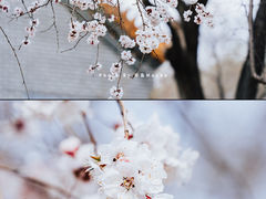 -大乘寺