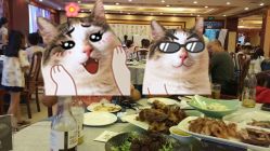 -全聚德烤鸭店·宴会厅(和平门店)
