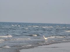 -烟台金沙滩海滨公园