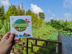 -泗洪洪泽湖湿地景区