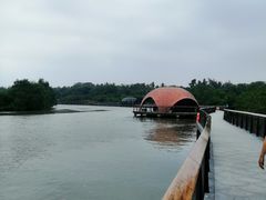 -东寨港红树林旅游区