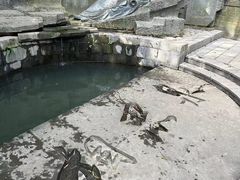 -敬亭山风景名胜区