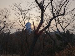 -山东大学(威海校区)