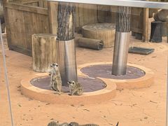 -南戴河国际娱乐中心