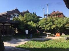 -西安青龙寺遗址景区