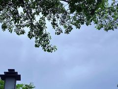 -广东罗浮山风景名胜区