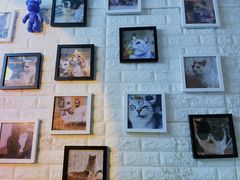 -平行世界·猫咖(首经贸店)