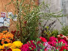 -HAPPEN(江川东路店)