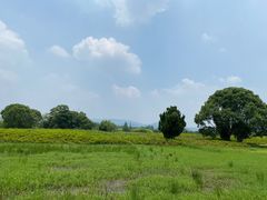 -良渚古城遗址公园