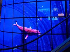-博纳国际影城IMAX(中央大道店)