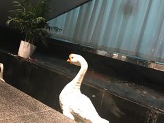 -眉州东坡(通州店)