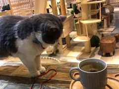 -小时光咖啡馆(开森度假森林店)