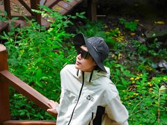 -大岭沟猕猴桃谷风景区