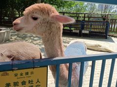 -北戴河集发农业梦想王国