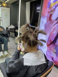 -藤野造型烫发染发