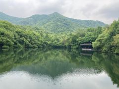 -杭州半山国家森林公园