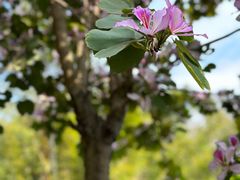 -广州市白云山风景名胜区